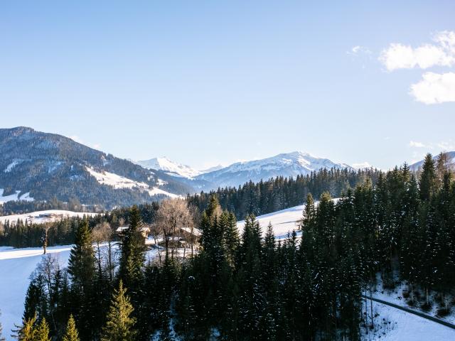 Immediate Surroundings (<1 km)