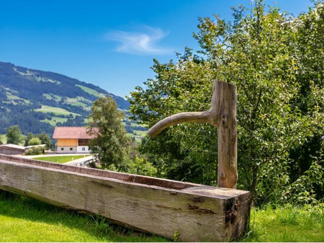 Exterieur vakantiehuis
