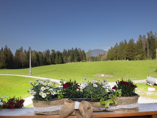 Vue de la maison de vacances