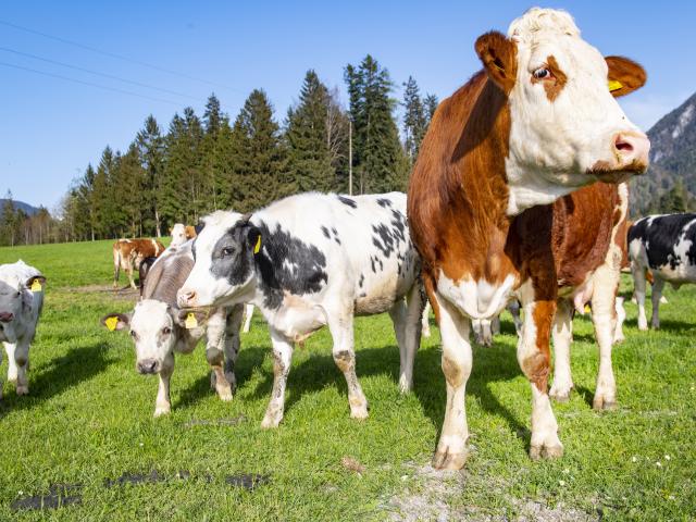 A proximité directe (<1 km)