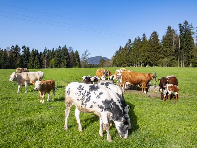 A proximité directe (<1 km)