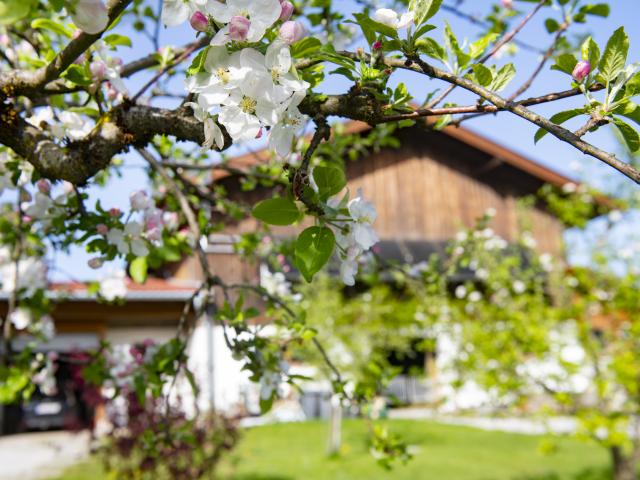 Ambiance / plan rapproché