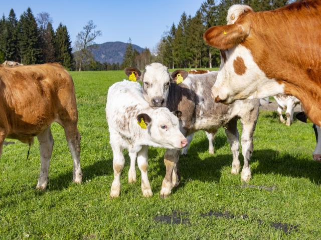 A proximité directe (<1 km)