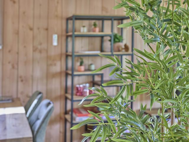 Ambiente / Nahaufnahme