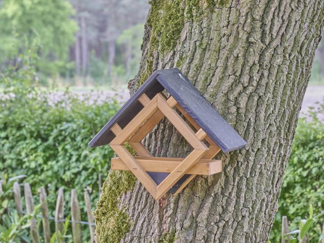 Ambiente / Nahaufnahme