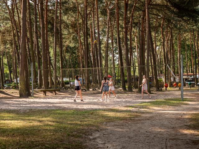 Ausstattung und Service des Ferienparks