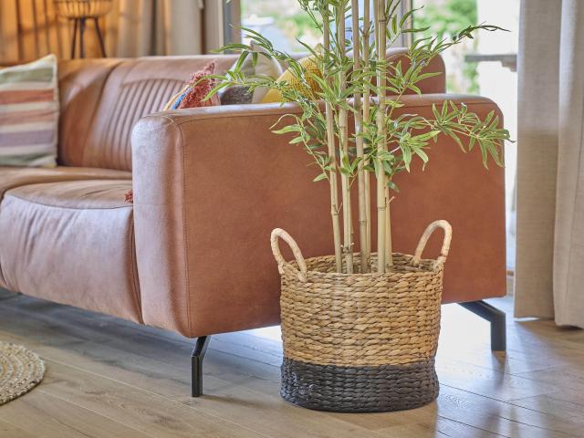 Ambiente / Nahaufnahme