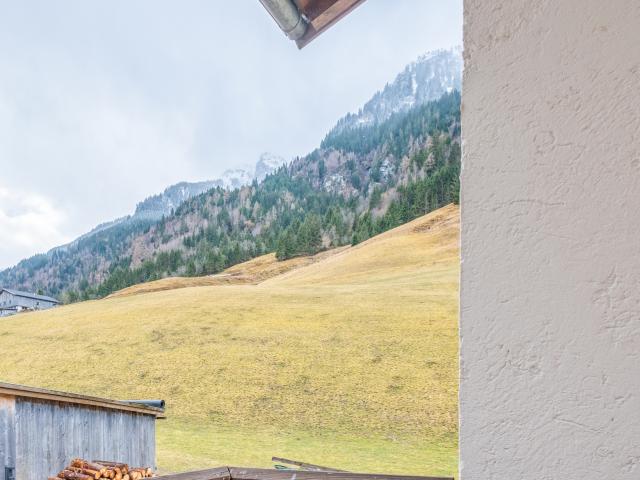 Directe omgeving (<1 km)