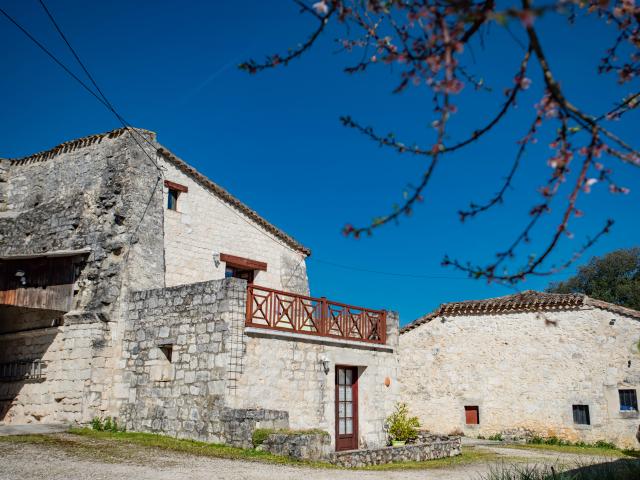 Außenseite Ferienhaus [Sommer]