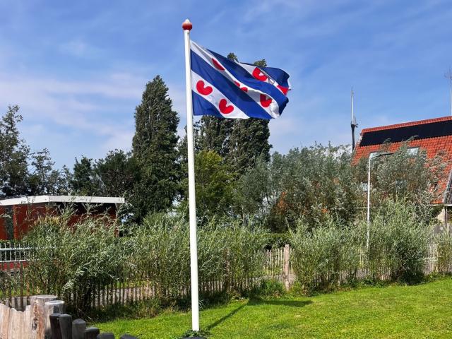 Ambiente / Nahaufnahme