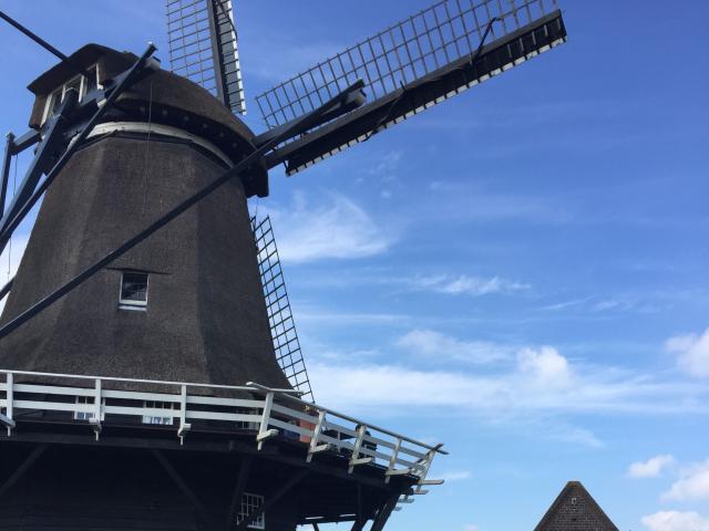 Direkte Umgebung (<1 km)