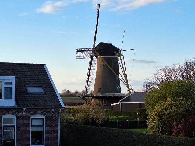 Immediate Surroundings (<1 km)