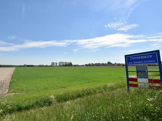 Immediate Surroundings (<1 km)