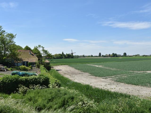 Immediate Surroundings (<1 km)