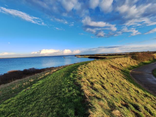 Surroundings (1-5 km)