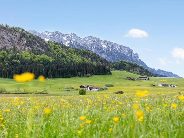 A proximité directe (<1 km)