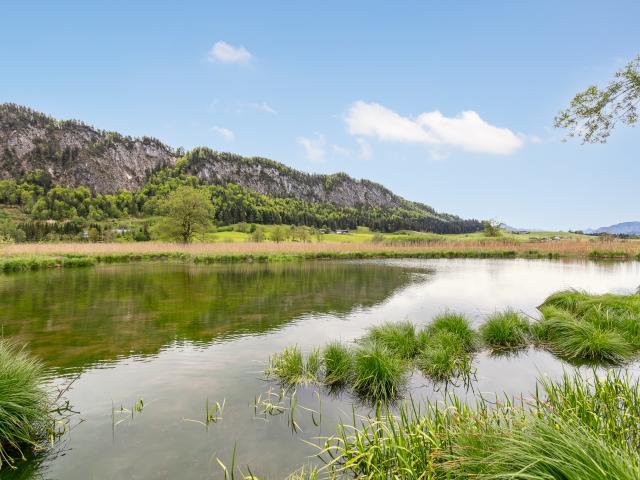 A proximité directe (<1 km)