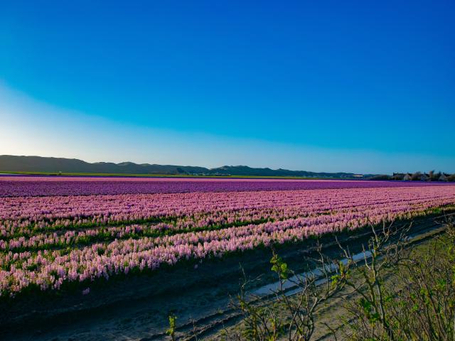 Immediate Surroundings [summer] (<1 km)