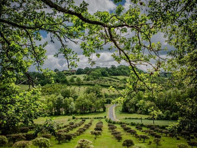 A proximité directe (<1 km)