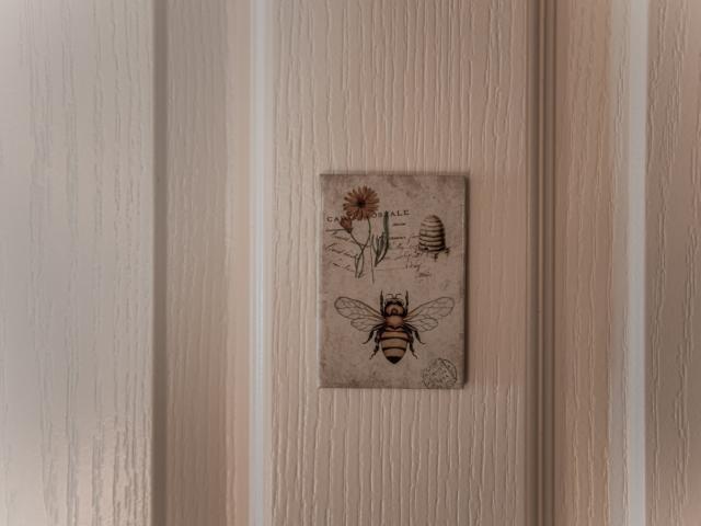 Ambiance / plan rapproché