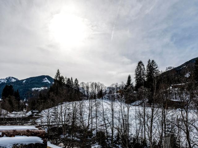 Immediate Surroundings (<1 km)