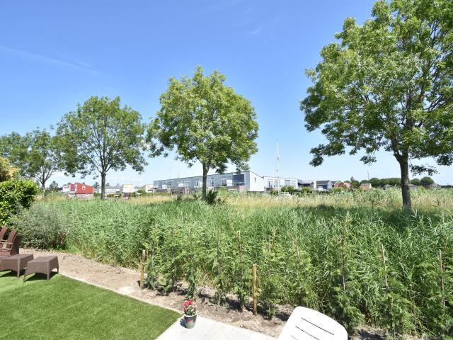 Aussicht vom Ferienhaus