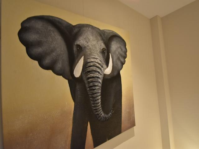 Ambiente / Nahaufnahme