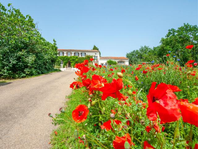 Exterieur vakantiehuis