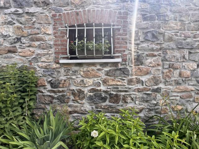 Ambiente / Nahaufnahme