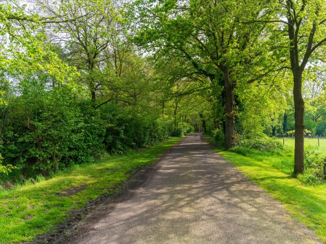 Direkte Umgebung [Sommer] (<1 km)