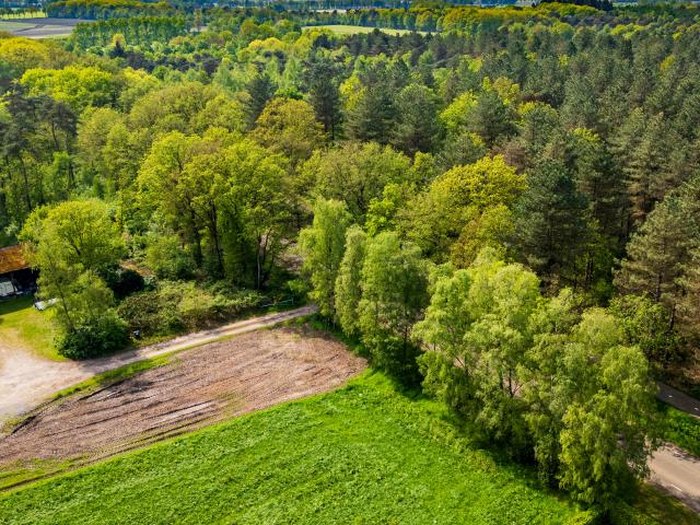Direkte Umgebung [Sommer] (<1 km)