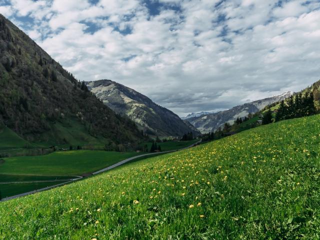 Directe omgeving (<1 km)