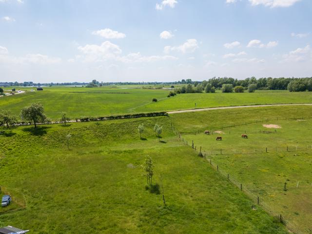 Aussicht vom Ferienhaus [Sommer]