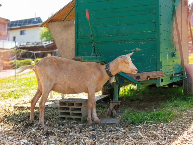 Immediate Surroundings (<1 km)