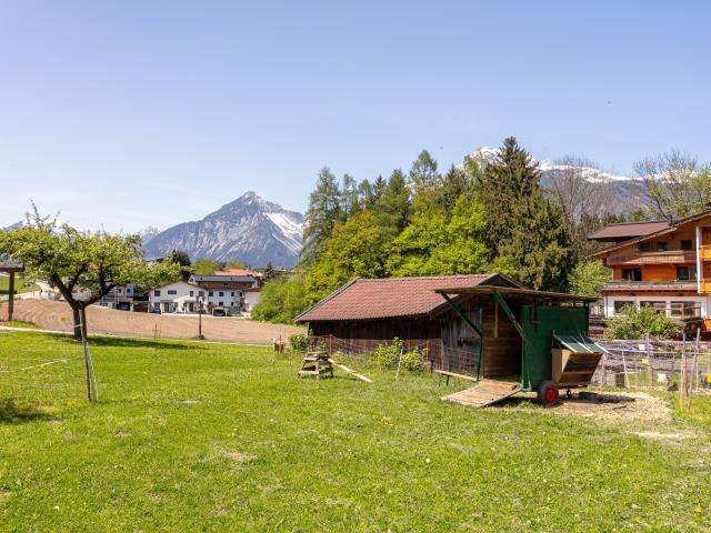 Immediate Surroundings (<1 km)