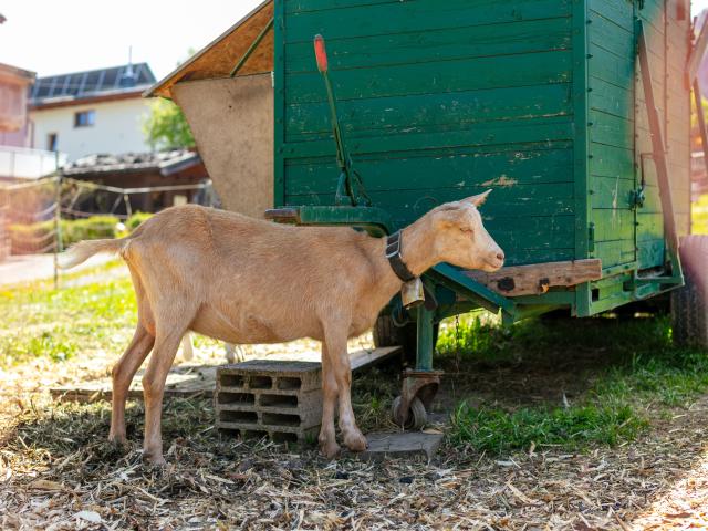 Directe omgeving (<1 km)