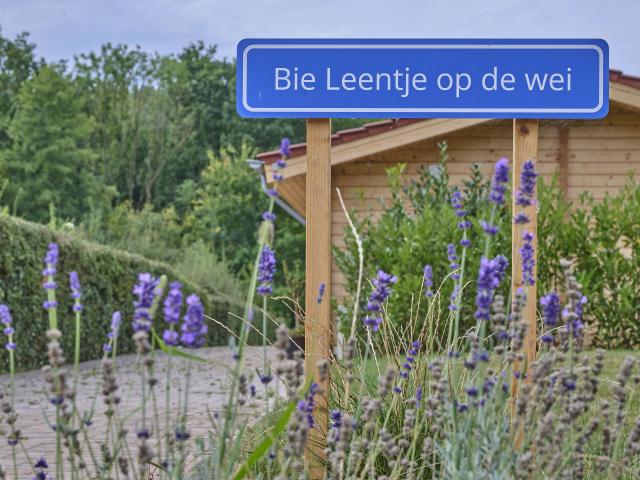 Ambiente / Nahaufnahme