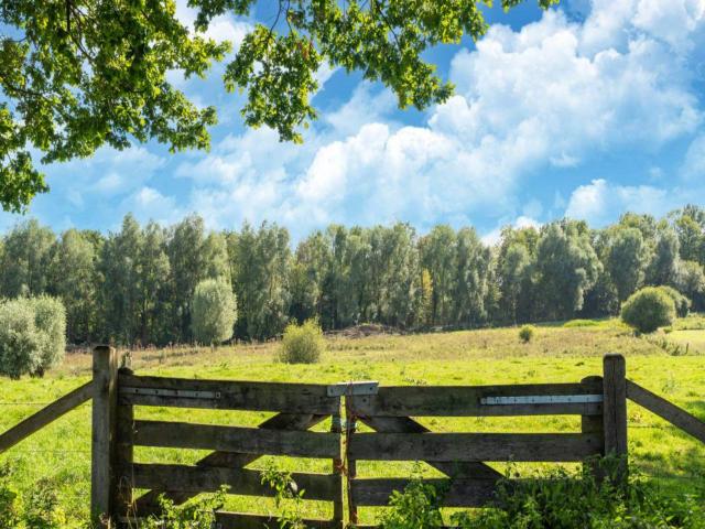 Direkte Umgebung (<1 km)