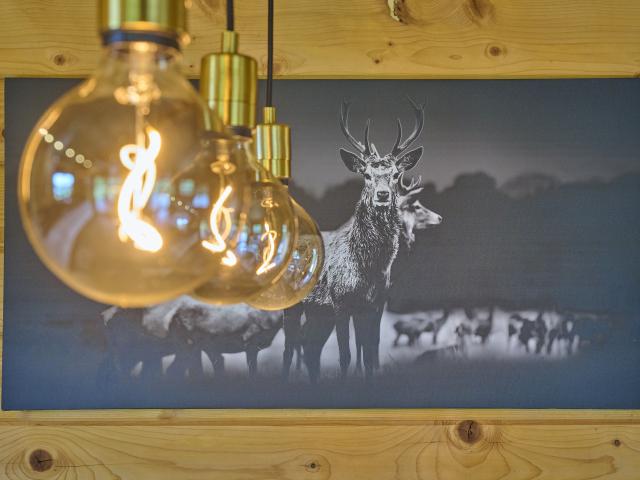 Ambiente / Nahaufnahme