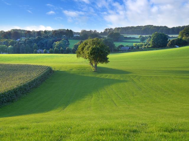 Aussicht vom Ferienhaus [Sommer]