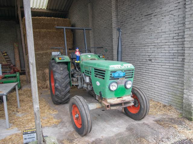 Ambiente / Nahaufnahme