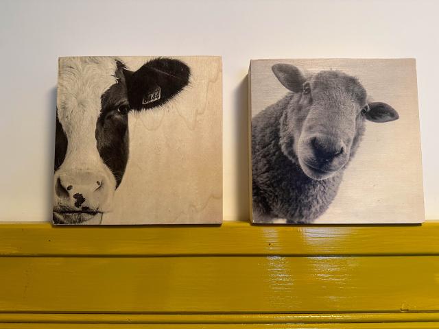 Ambiente / Nahaufnahme