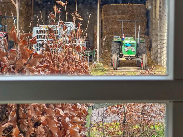 Aussicht vom Ferienhaus [Sommer]