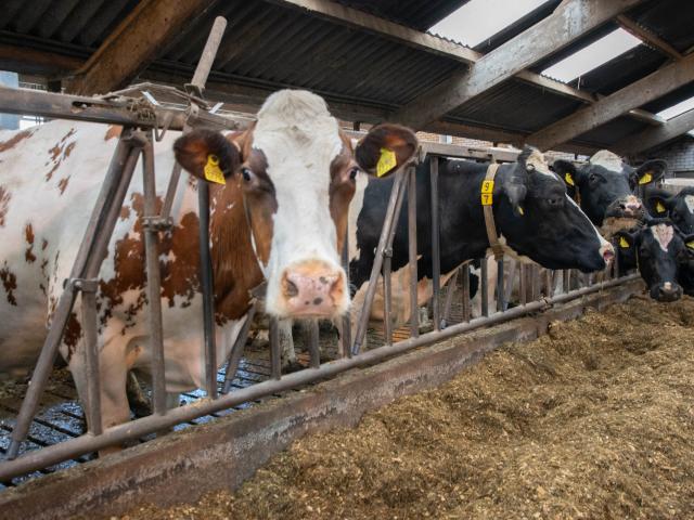 Direkte Umgebung [Sommer] (<1 km)