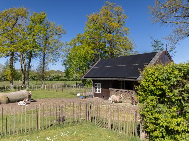 Direkte Umgebung [Sommer] (<1 km)