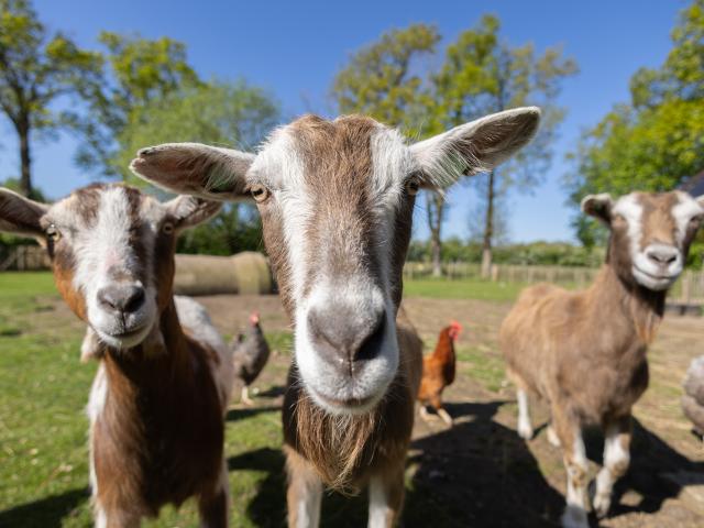 Direkte Umgebung [Sommer] (<1 km)
