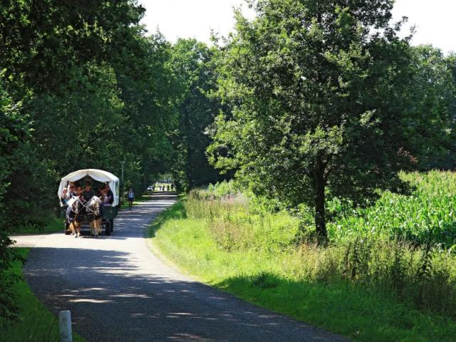 Direkte Umgebung [Sommer] (<1 km)