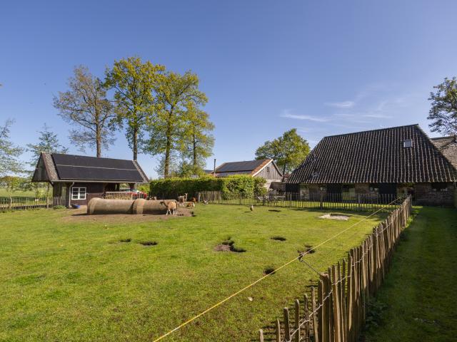 Außenseite Ferienhaus [Sommer]