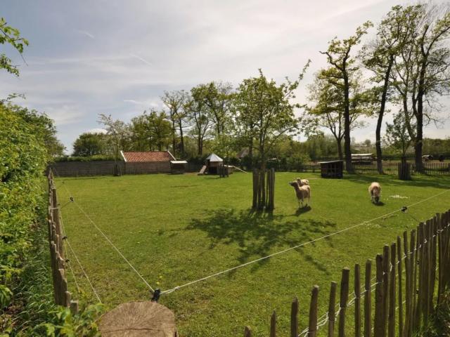 Aussicht vom Ferienhaus [Sommer]