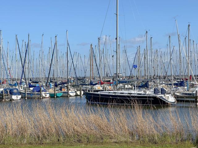 Omgeving [zomer] (1-5 km)